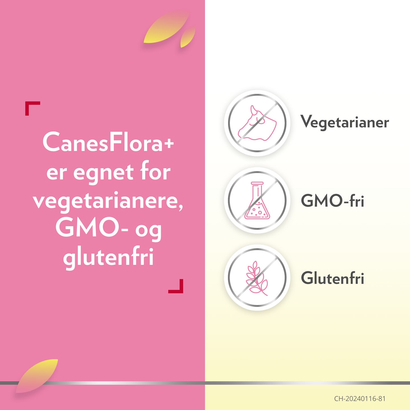 Canesflora+ intimpleie