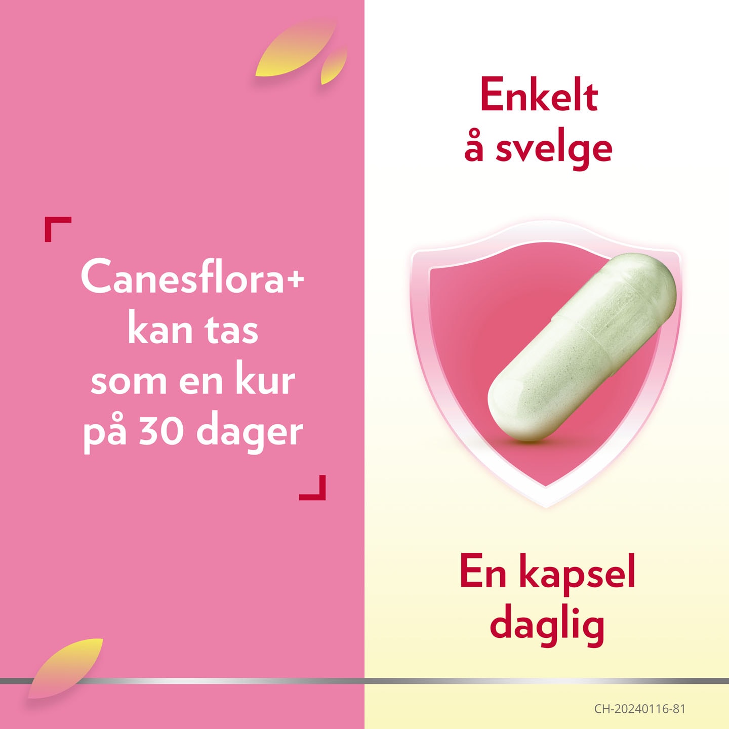 Canesflora+ intimpleie